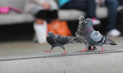 Quels sont les secrets des leaders qui inspirent durablement leurs équipes ?